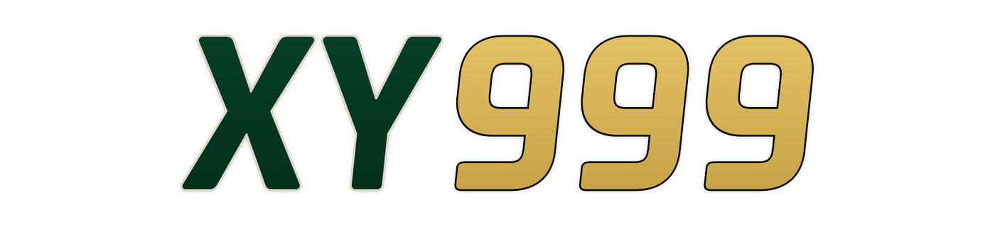 xy999
